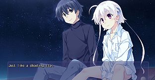 Himawari - The Sunflower -