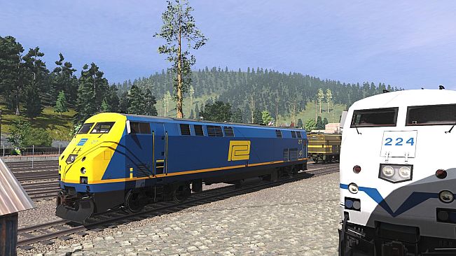 Trainz 2019 DLC - Pro Train: MTA P32AC-DM Loco Bundle