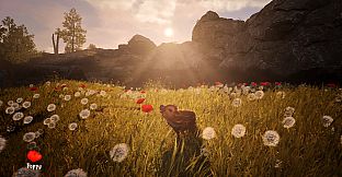 Adorable Adventures