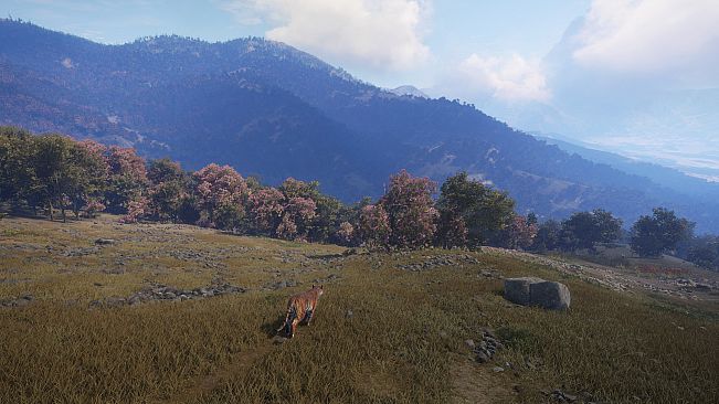 theHunter: Call of the Wild - Sundarpatan Nepal Hunting Reserve
