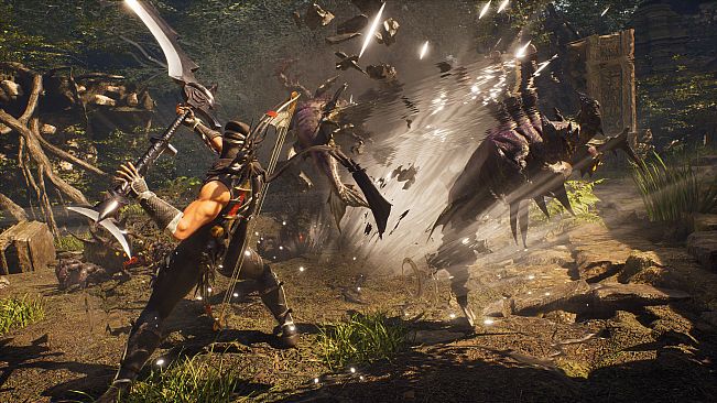 NINJA GAIDEN 2 Black