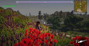 Android Amazones - Season 2