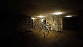 Deja Vu : The Backrooms