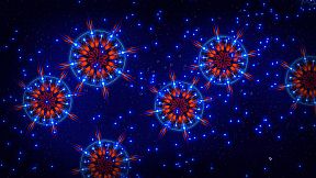 Microcosmum: survival of cells