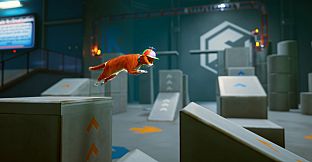 Schrodinger's Cat Burglar