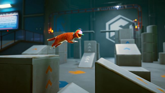 Schrodinger's Cat Burglar