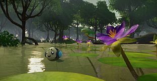 Pokémon Winds