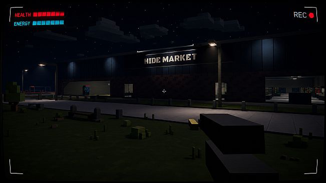 Hideout Heist