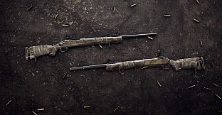 Insurgency: Sandstorm - Endurance Weapon Skin Set