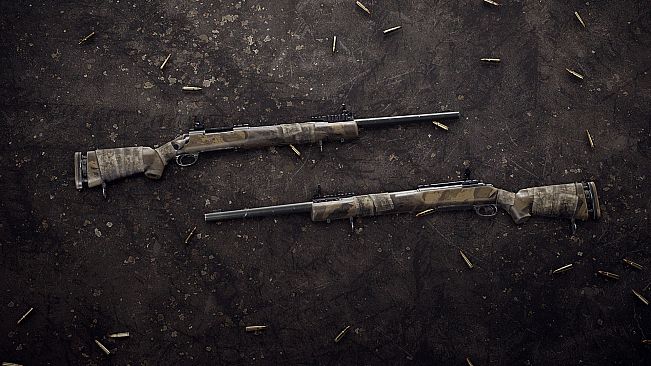 Insurgency: Sandstorm - Endurance Weapon Skin Set