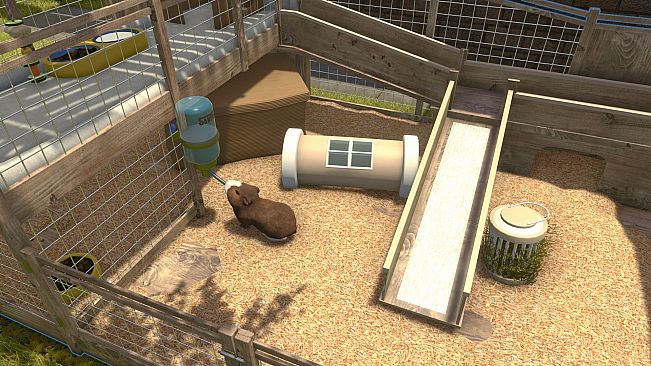 Farm Pets Bundle