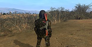 Anomaly Zone Renovation