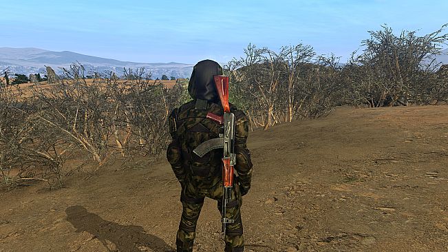 Anomaly Zone Renovation