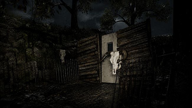 The Last Curse