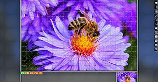 Jigsaw Puzzle Pack - Pixel Puzzles Ultimate: Traditional Cut