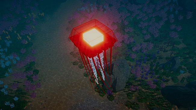 Creaturing - Sea Wonders