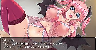 サキュバスクエスト ～succubus quest～