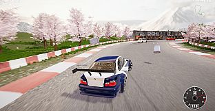 CarSim Racing