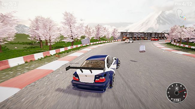 CarSim Racing