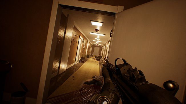 Burkina Faso: Radical Insurgency