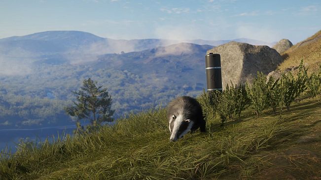 theHunter: Call of the Wild - Game Feeder Pack 2