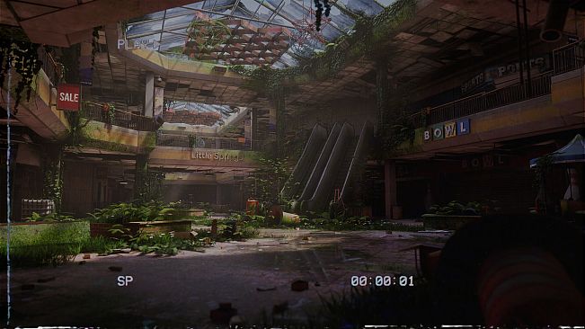 The Oldest View: Rolling Giant