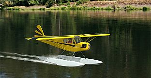 RealFlight Evolution – Hangar 9 Clipped-Wing Cub 10cc