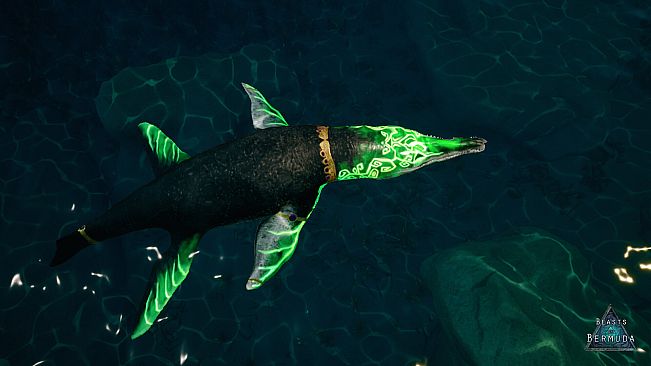 Beasts of Bermuda - Kronosaurus Supporter Warpaint