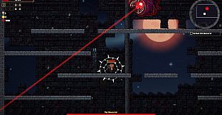 Capy of Gods