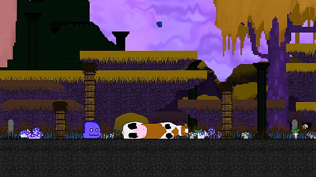 STRIKERS - Cow Skin Pack