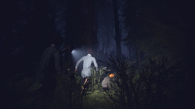 Light, Dark or Hrak?