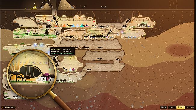 Antmates: Idle Ant Colony