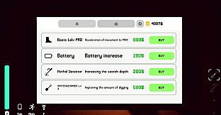 Walk Along The Shore