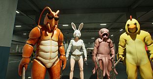 DIG Raiders: Anomaly Extraction