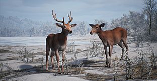 PROJECT HUNT - MANCHURIAN TAIGA