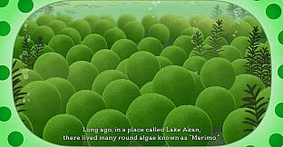 Marimo-VS-IAS: Our Friends