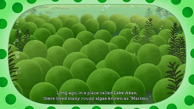 Marimo-VS-IAS: Our Friends