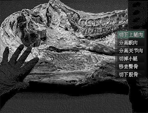 愚人船 NARRENSCHIFF