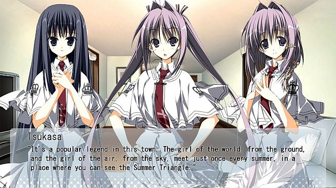 Wonderful Everyday Down the Rabbit-Hole