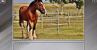 Super Jigsaw Puzzle: Generations - Horses Puzzles