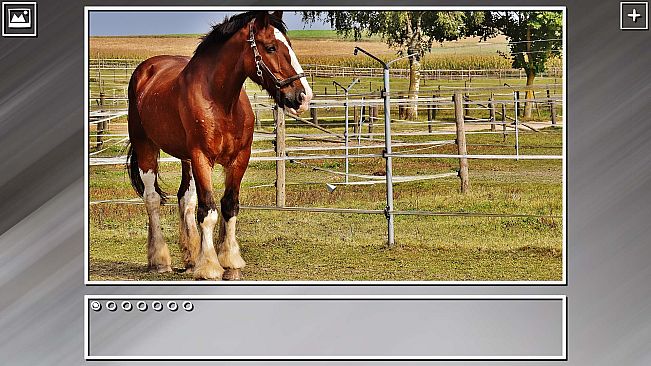 Super Jigsaw Puzzle: Generations - Horses Puzzles