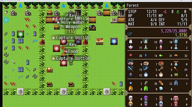 Goblin Adventurer Hunting