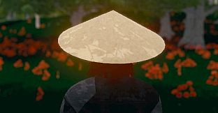 Hide and Seek - Rice Hat