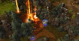 Prime Arena - Founder Pack