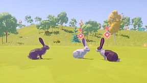 Rabbit Simulator