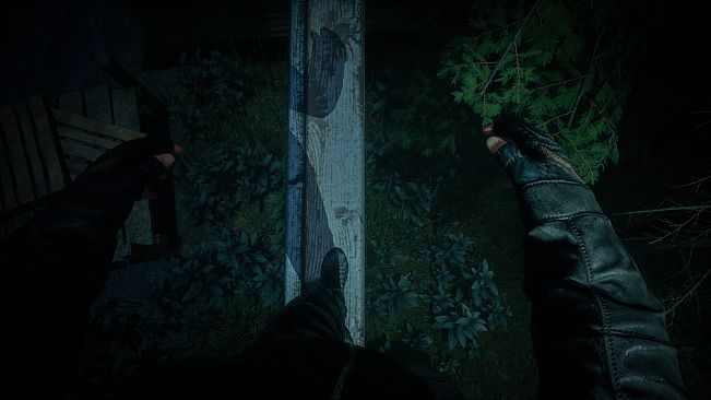 Alice is Missing
