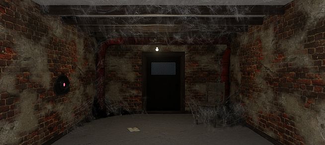 Mr. Walker's Basement