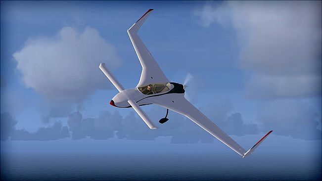 FSX: Steam Edition - Rutan 61 Long EZ Add-On