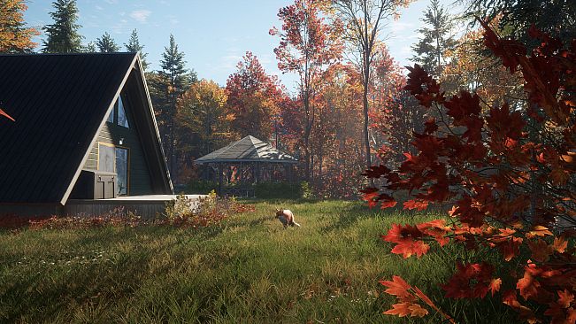 theHunter Call of the Wild - New England Mountains