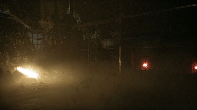 The Watcher In The Bright